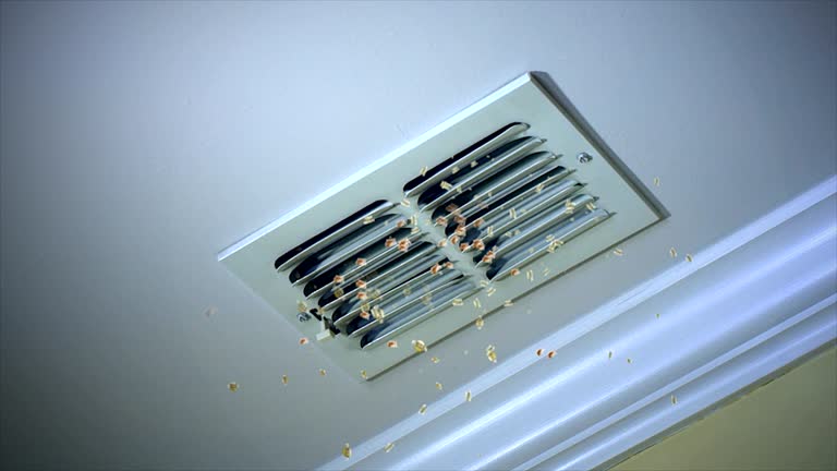 Best Local Air Duct Cleaning Services  in Stanley, WI